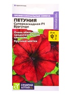 Семена цветов Петуния Суперкаскадная «Бургунди», F1, 7 шт., «Семена Алтая» - Фото 5