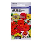 Семена цветов Цинния Захара «Праздник лета», 5 шт., «Смена Алтая» - Фото 1