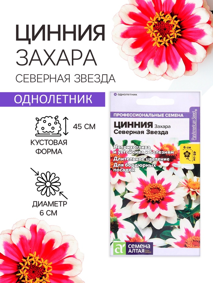 Семена цветов Цинния Захара "Северная звезда", ц/п, 5 шт - Фото 1