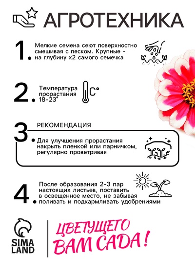 Семена цветов Цинния Захара «Северная звезда», 5 шт., «Семена Алтая»