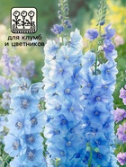 Семена цветов Дельфиниум "Голубая Бабочка", ц/п,  0,1 г 5486182