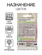 Семена цветов Пеларгония "Нано", ц/п, "Розовая", ц/п, 3 шт - Фото 3