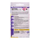 Семена цветов Эустома "Мариачи Мисти", ц/п, 5 шт - Фото 2