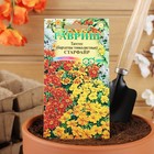 Семена цветов Бархатцы «Старфайр», ц/п, тонколистные, смесь, 0.1 г - Фото 3