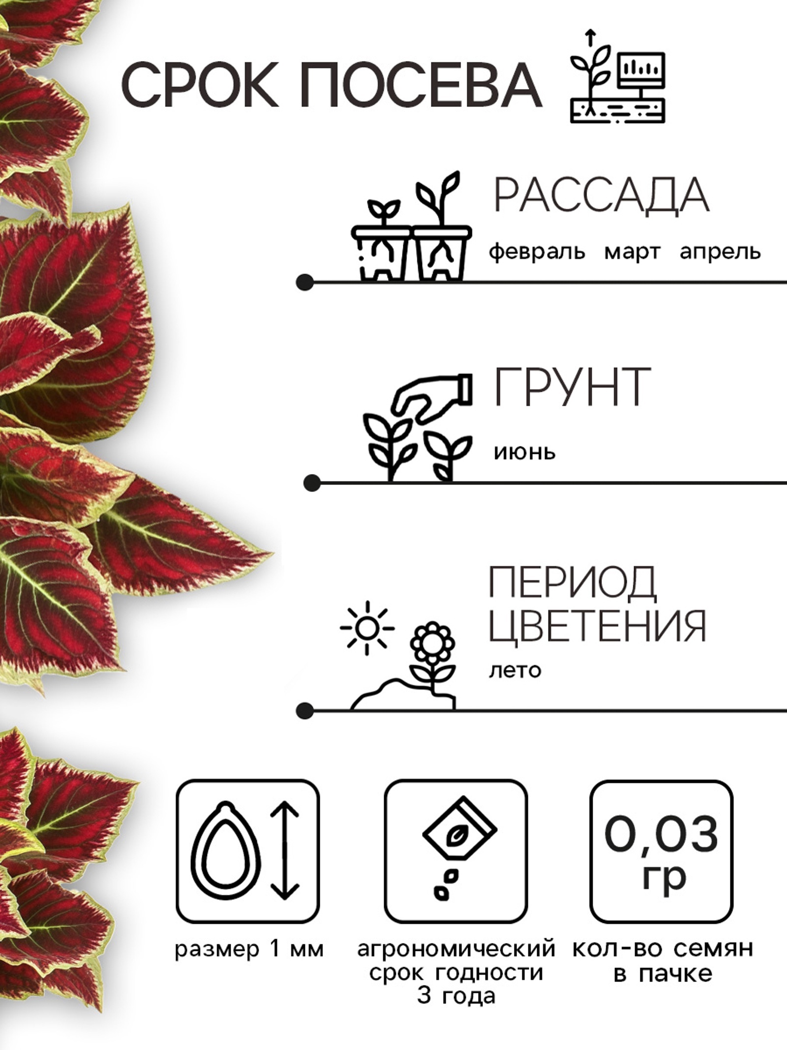 Семена цветов Колеус "Оригинальный", смесь, 0,03 г (5395128) - Купить ...