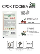 Семена Огурец "Кураж",  F1,  серия 1+1, 20 шт - Фото 2