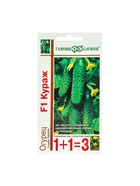 Семена Огурец "Кураж",  F1,  серия 1+1, 20 шт - Фото 5