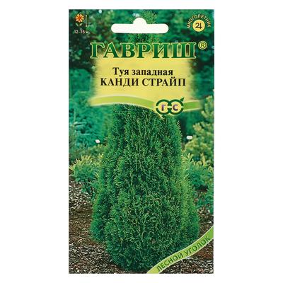 Семена Туя западная "Канди Страйп", ц/п, 0,05 г