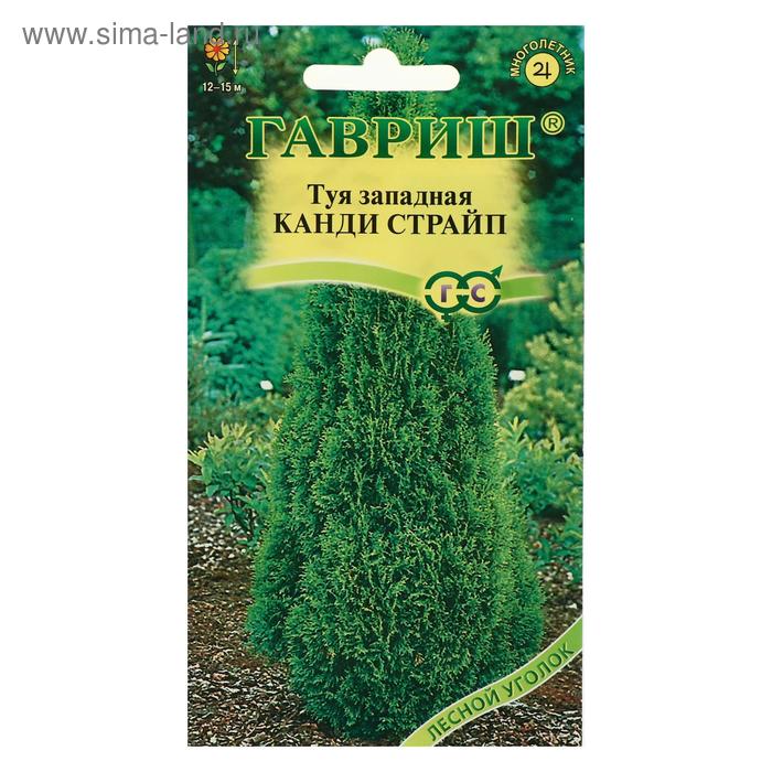 Семена Туя западная "Канди Страйп", ц/п, 0,05 г - Фото 1