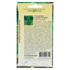 Семена Туя западная "Канди Страйп", ц/п, 0,05 г - Фото 2