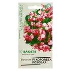 Семена цветов Бегония "Королева розовая", F1, вечноцветущая, серия Саката,  4 шт - фото 2034994