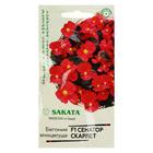 Семена цветов Бегония "Сенатор Скарлет", ц/п, F1, вечноцветущая, серия Элитная клумба 4 шт - Фото 1