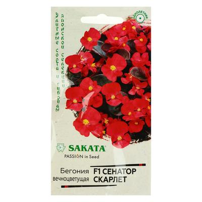 Семена цветов Бегония "Сенатор Скарлет", ц/п, F1, вечноцветущая, серия Элитная клумба 4 шт