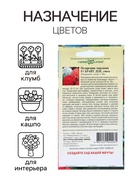 Семена цветов пеларгония «Брайт дей F1», 4 шт. - Фото 3