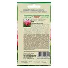 Семена цветов Цикламен "Луна", персидский, 3 шт. - фото 25606019