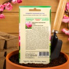 Семена цветов Цикламен "Луна", персидский, 3 шт. - фото 25606021