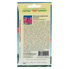 Семена цветов Цикламен "Хельга", ц/п, персидский, 3 шт. - Фото 4