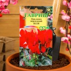 Семена цветов цикламен «Юля», 3 шт. - Фото 3