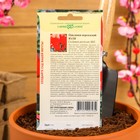 Семена цветов цикламен «Юля», 3 шт. - Фото 4