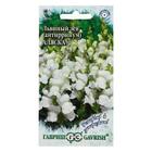 Семена цветов Антирринум (Львиный зев)"Аляска", ц/п, серия Устойчив к заморозкам, 0,05 г - Фото 3