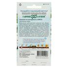 Семена цветов Антирринум (Львиный зев)"Аляска", ц/п, серия Устойчив к заморозкам, 0,05 г - Фото 4