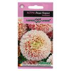 Семена цветов Астра "Леди Корал бежевая", ц/п, однолетняя, серия Эксклюзив, 0,05 г - Фото 1