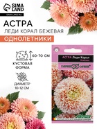 Семена цветов Астра «Леди Корал бежевая», однолетняя, серия «Эксклюзив», 0.05 г, «Гавриш» - Фото 1
