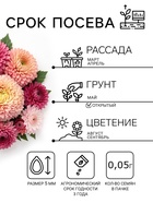Семена цветов Астра «Леди Корал бежевая», однолетняя, серия «Эксклюзив», 0.05 г, «Гавриш» - Фото 2