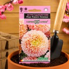 Семена цветов Астра "Леди Корал бежевая", ц/п, однолетняя, серия Эксклюзив, 0,05 г - Фото 3