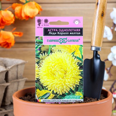 Семена цветов Астра "Леди Корал желтая", ц/п, однолетняя, серия Эксклюзив, 0,05 г
