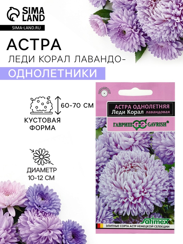 Семена цветов Астра «Леди Корал лавандовая», однолетняя, 0.05 г, «Гавриш» - Фото 1