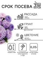 Семена цветов Астра «Леди Корал лавандовая», однолетняя, 0.05 г, «Гавриш» - Фото 2