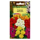 Семена цветов Георгина "Фигаро", ц/п, 7 шт - Фото 1