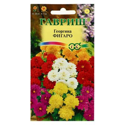 Семена цветов Георгина "Фигаро", ц/п, 7 шт