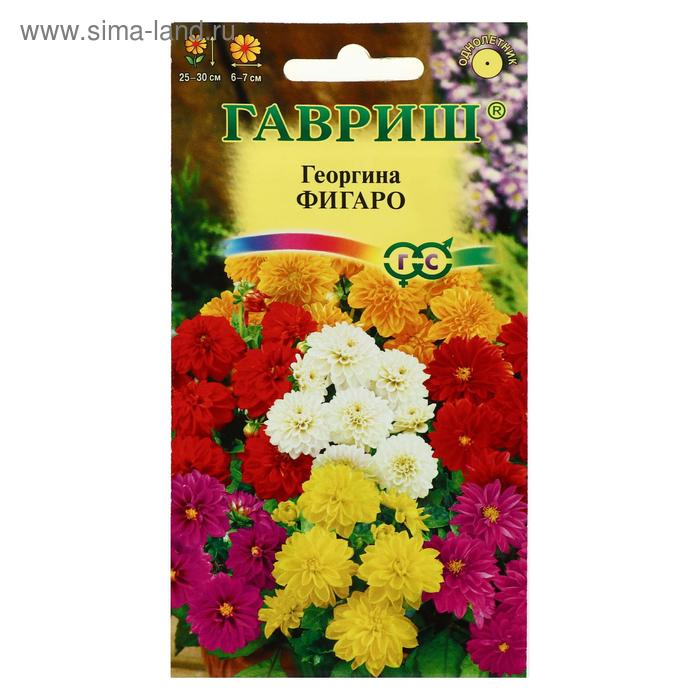 Семена цветов Георгина "Фигаро", ц/п, 7 шт - Фото 1