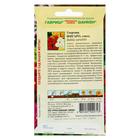 Семена цветов Георгина "Фигаро", ц/п, 7 шт - Фото 2