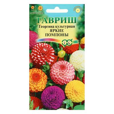 Семена цветов Георгина "Яркие помпоны", ц/п, 0,2 г