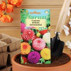 Семена цветов Георгина "Яркие помпоны", ц/п, 0,2 г - Фото 3