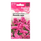 Семена цветов Лимониум "Малиновое парфе", ц/п, серия Розовые сны, 0,05 г - Фото 1