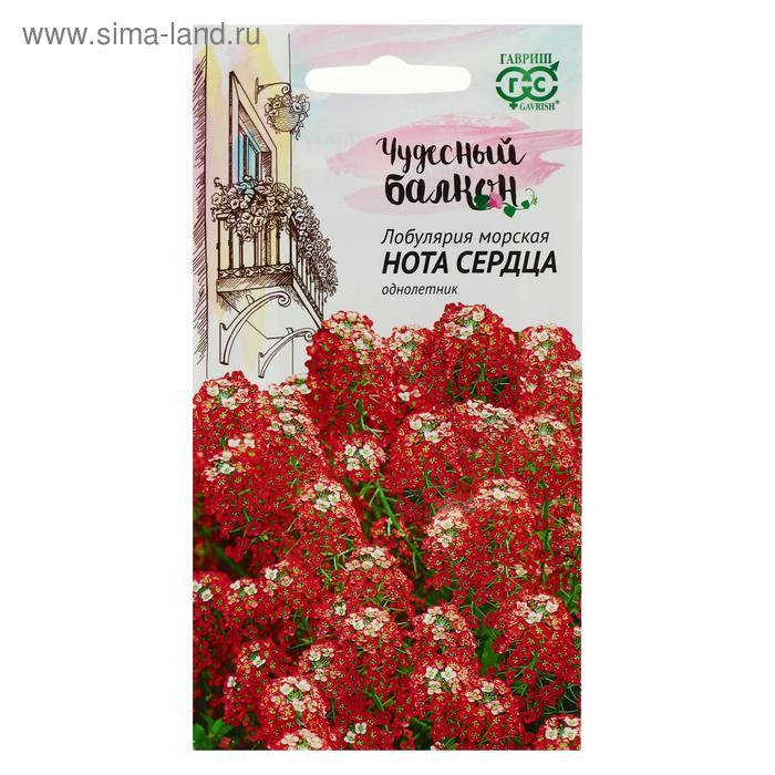 Семена цветов Лобулярия "Нота сердца", ц/п, серия Чудесный балкон, 0,05 г - Фото 1
