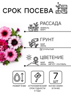 Семена цветов Петуния «Титан», бахромчатая, смесь, 7 шт., «Гавриш» - Фото 2