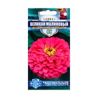 Семена цветов Цинния "Великан малиновый", ц/п, серия Русский богатырь, 0,3 г - Фото 1