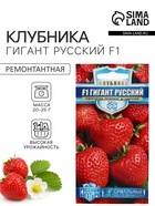 Семена Земляника "Гигант русский", ц/п, F1, серия Русский богатырь, 5 шт - Фото 1