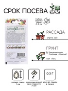 Семена Огурец "Конни", F1, 0,3 г - Фото 2