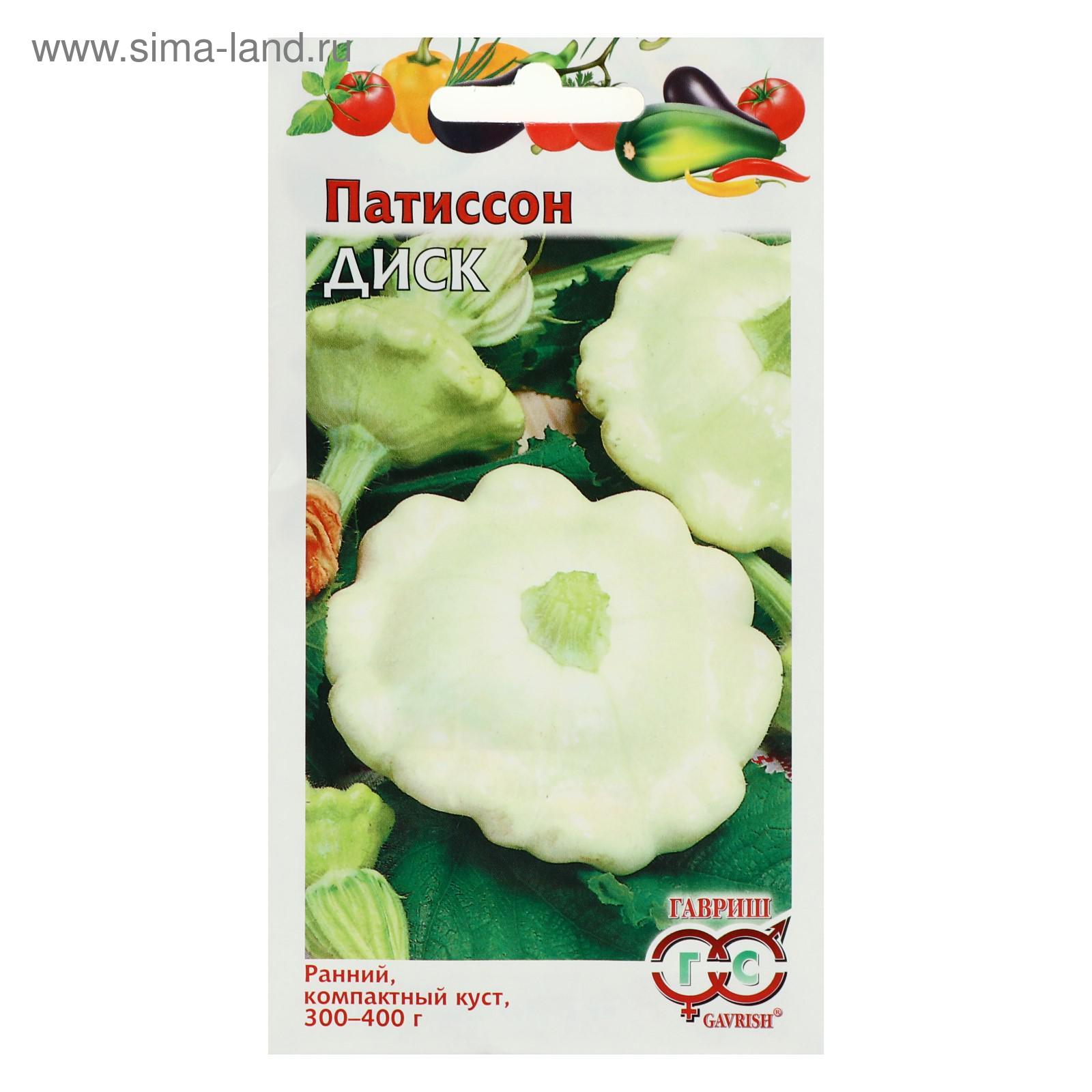 Патиссон сайт. Патиссон нло белый. Патиссон нло белый. Патиссон нло белый. Патисон или патиссон.