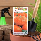 Семена Тыква "Конфетка", 1 г - Фото 1