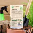 Семена Фасоль «Тень на плетень», 5 г, «Гавриш» - Фото 4