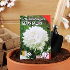 Семена цветов Астра пионовидная, белая, 0, 2 г - Фото 3