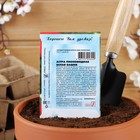 Семена цветов Астра пионовидная, белая, 0, 2 г - Фото 4