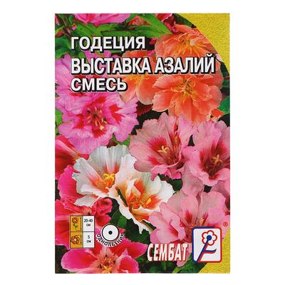 Семена цветов Годеция "Выставка Азалий", смесь, 0,1 г